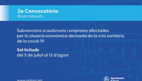 Subvencions 