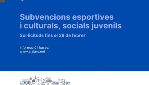 Subvencions esportives web