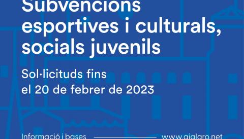 Infografia subvencions 2023